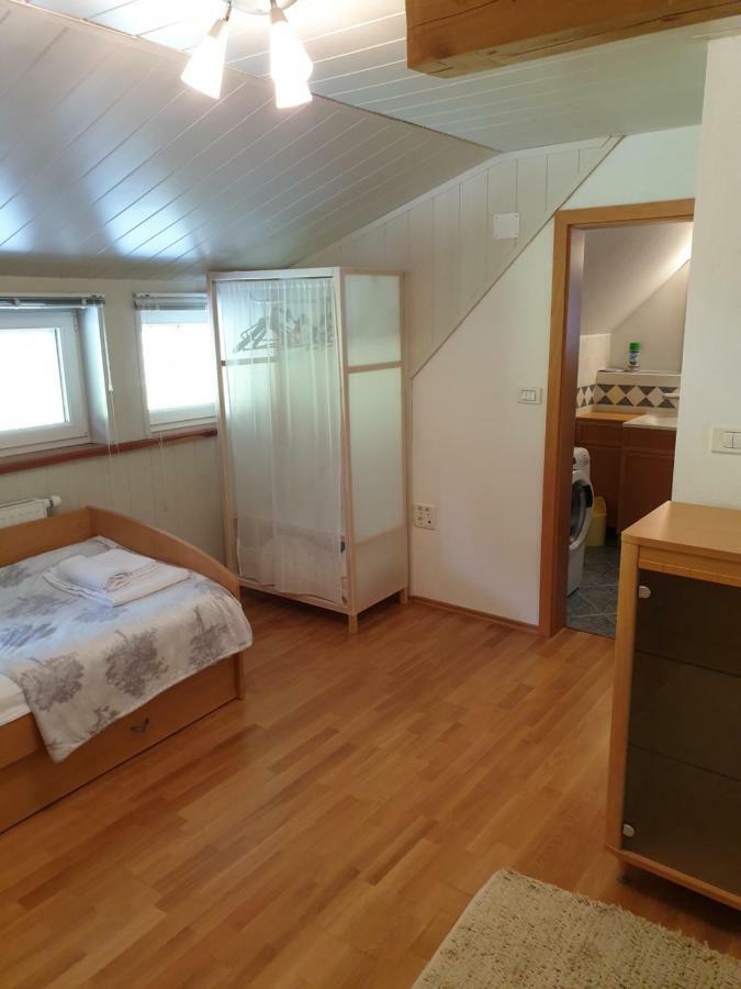 Apartman Irvin ครานสกา โกรา ภายนอก รูปภาพ